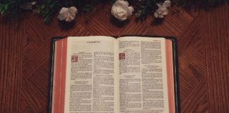 Bible open to Habakkuk